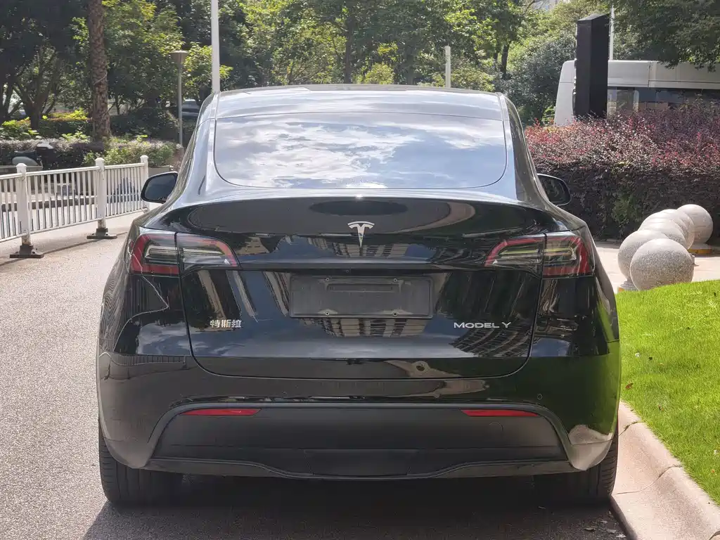 Tesla Model Y — миниатюра 6