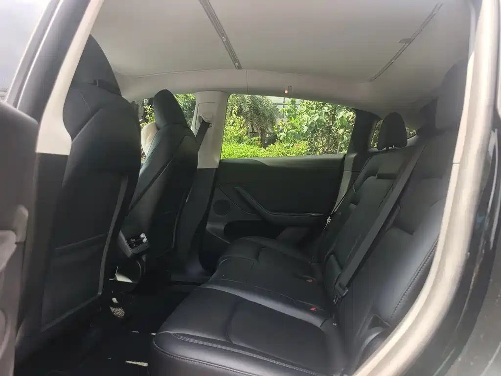 Tesla Model Y — миниатюра 10
