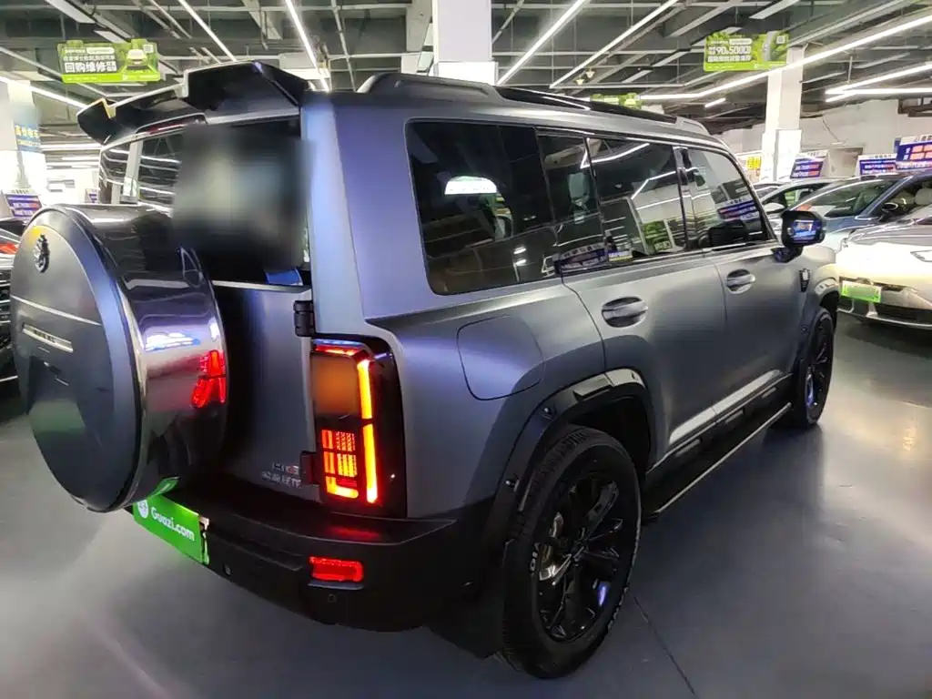 Haval Menglong New Energy — миниатюра 7
