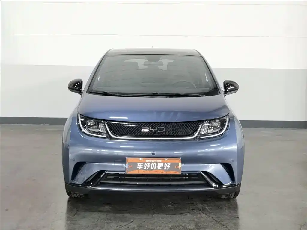 BYD Dolphin 2025 420km Fashion