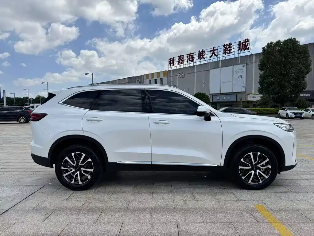 Haval H6 — миниатюра 8