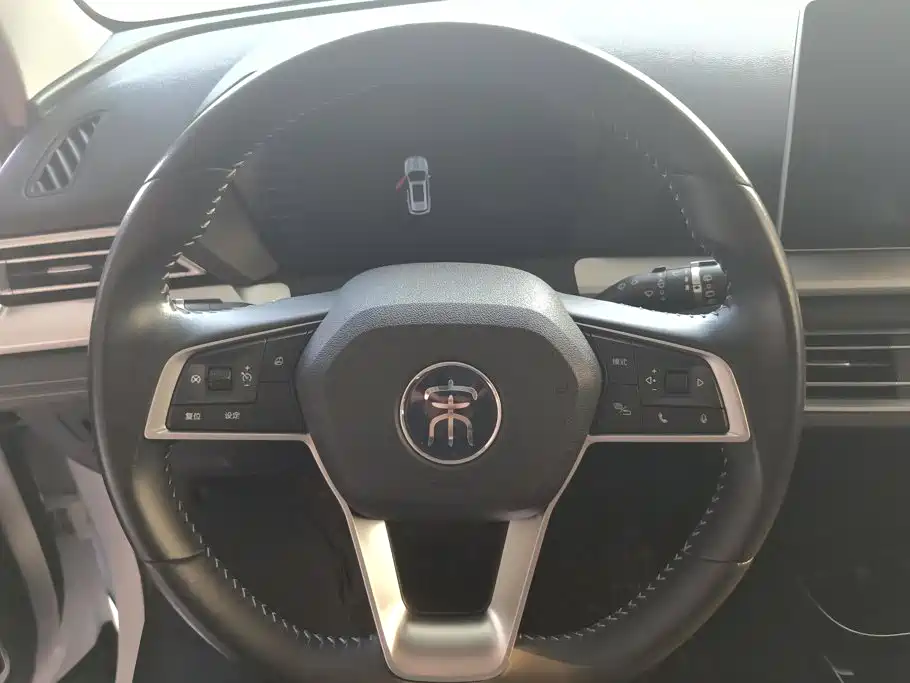 BYD Pro — миниатюра 15