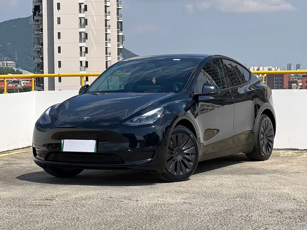 Tesla Model Y — миниатюра 15