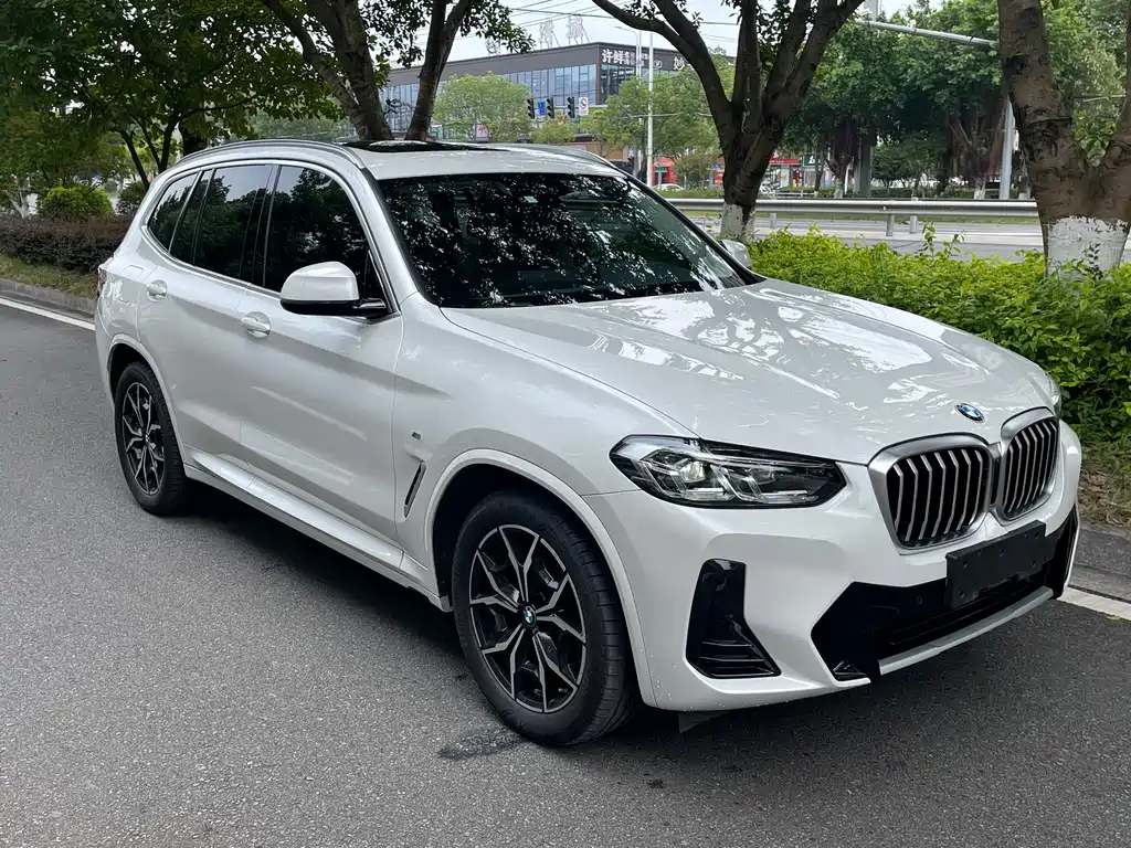 BMW X3 — миниатюра 2