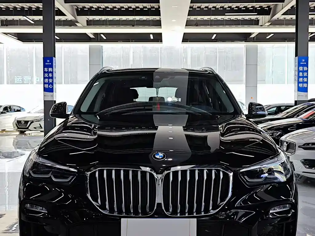 BMW X5 (Import) — миниатюра 2