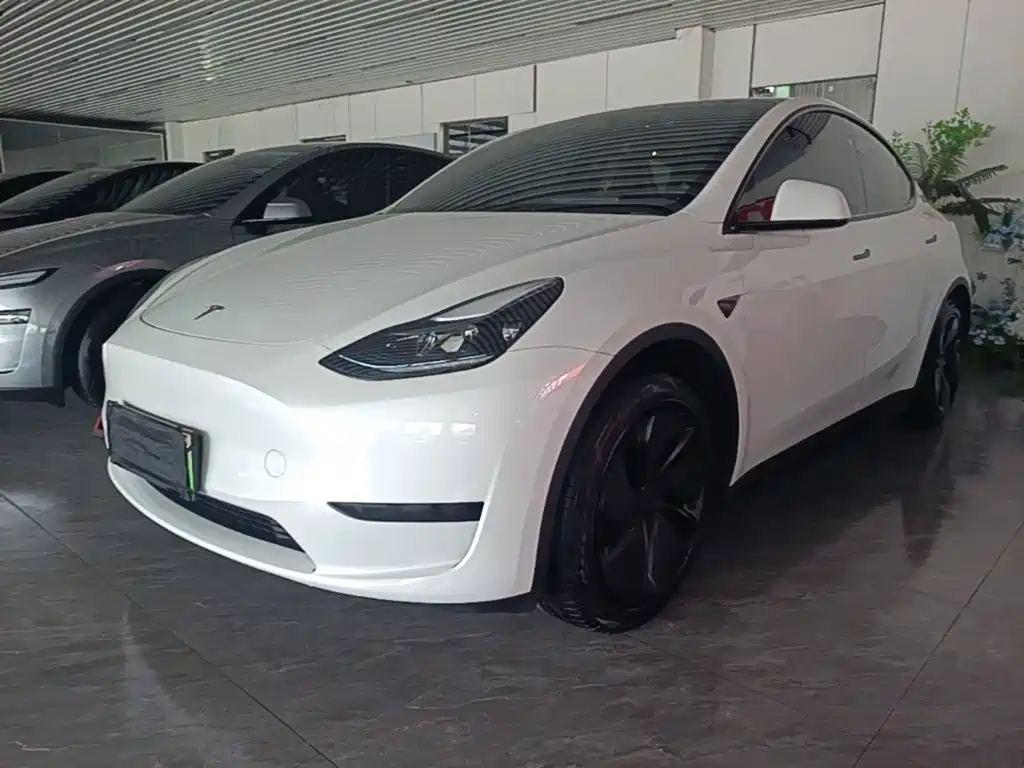 Tesla Model Y — миниатюра 2