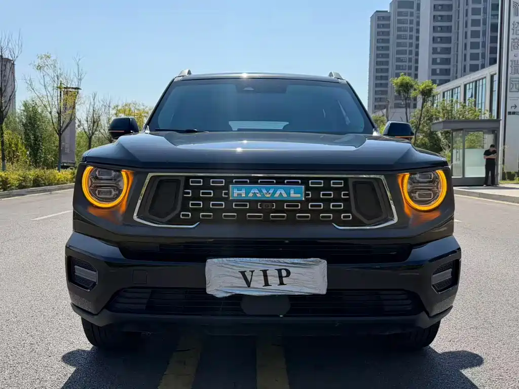Haval Big Dog PLUS New Energy — миниатюра 2