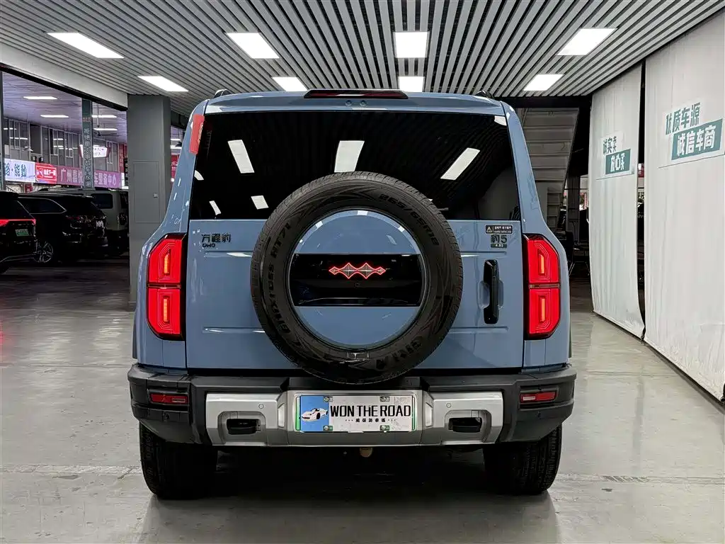 FANG CHENG BAO LEOPARD 5