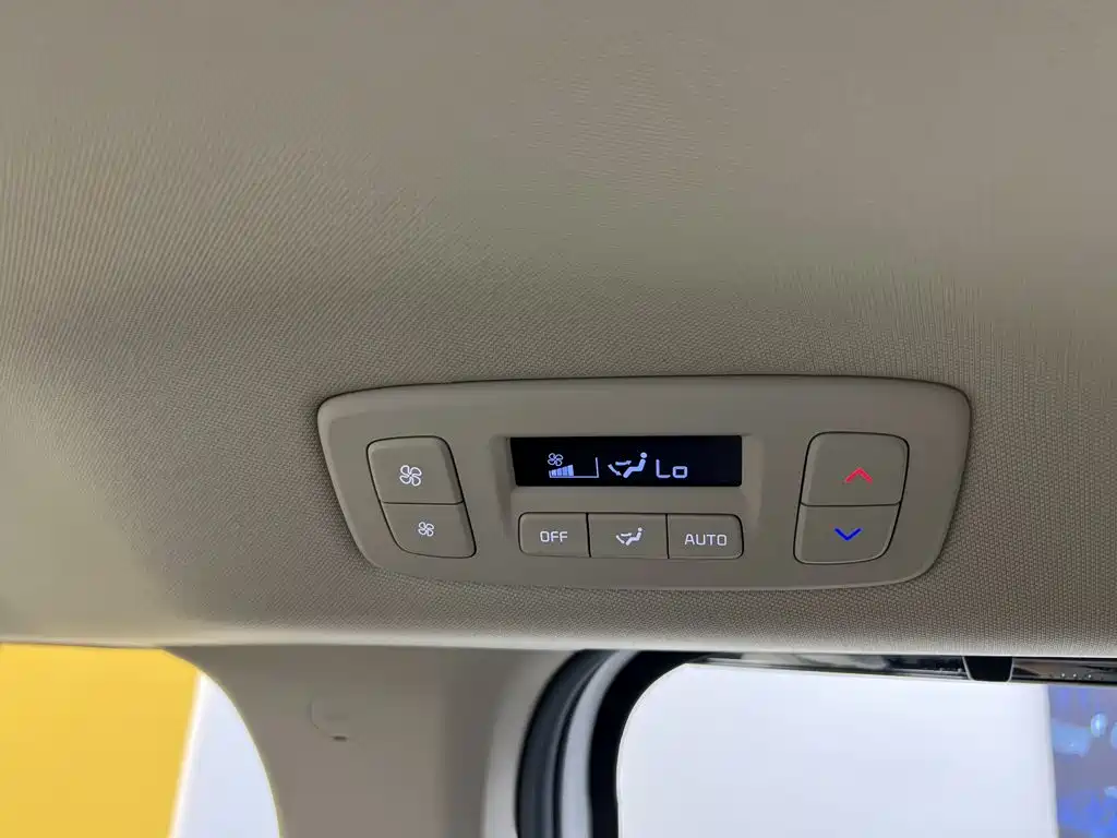 Kia Carnival — миниатюра 44