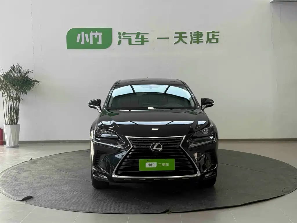 Lexus NX — миниатюра 2