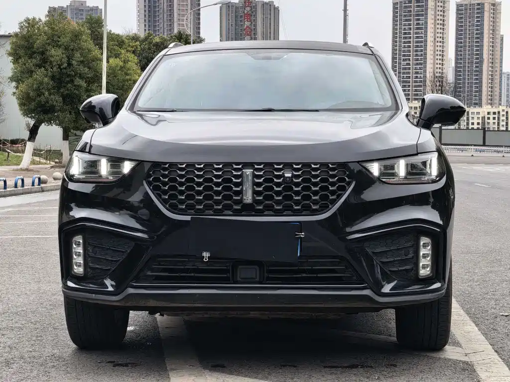 WEI PAI WEI BRAND VV5