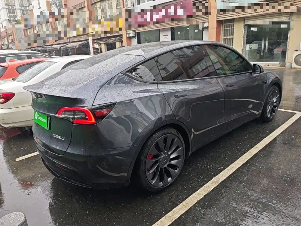 Tesla Model Y — миниатюра 7