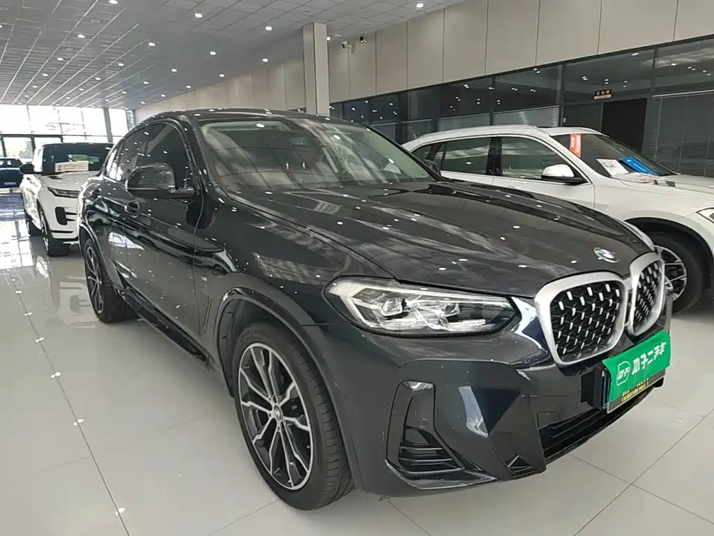 BMW X4 — миниатюра 4