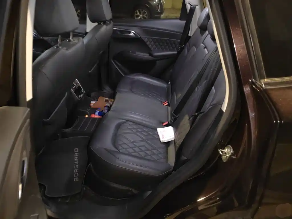 Borgward BX7 — миниатюра 13