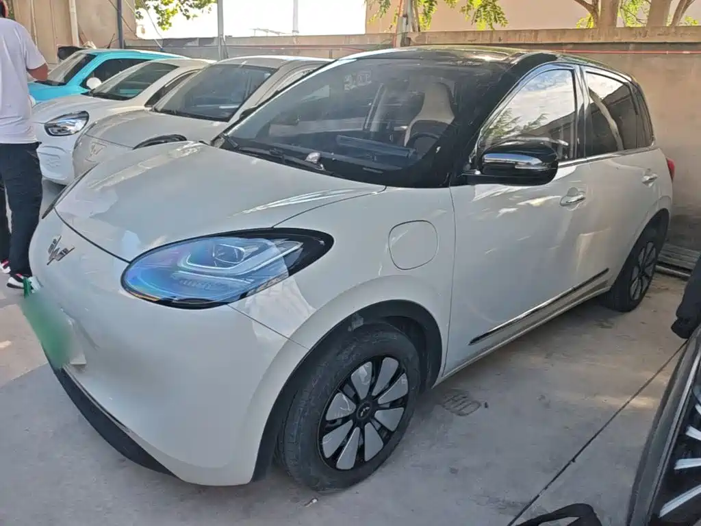 Wuling Bingo