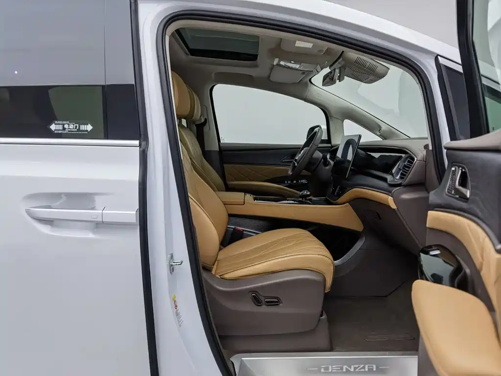 Denza Denza D9 — миниатюра 23