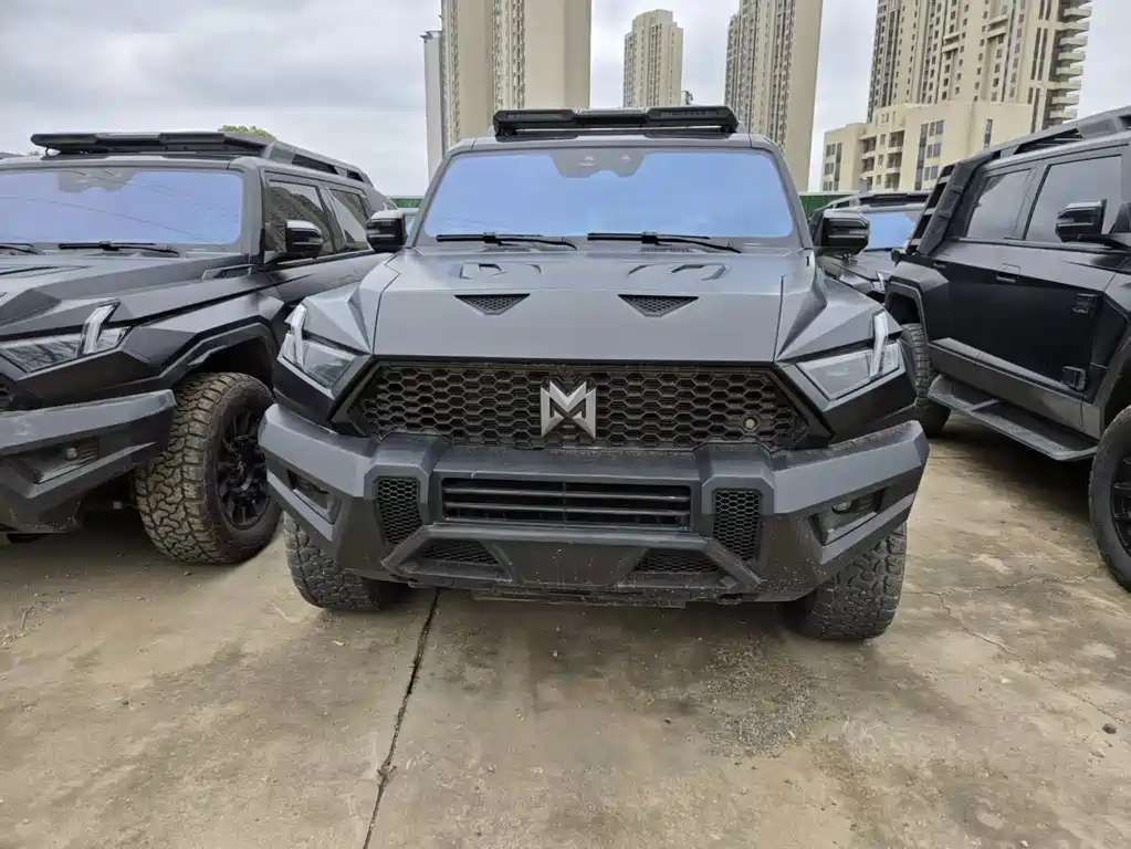 Mengshi Mengshi 917 2024