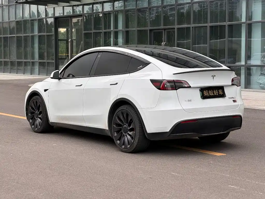 Tesla Model Y 2022 Performance