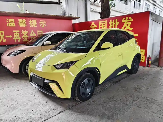 2023 BYD Seagull
