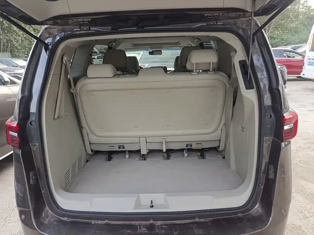 Buick GL8 — миниатюра 19