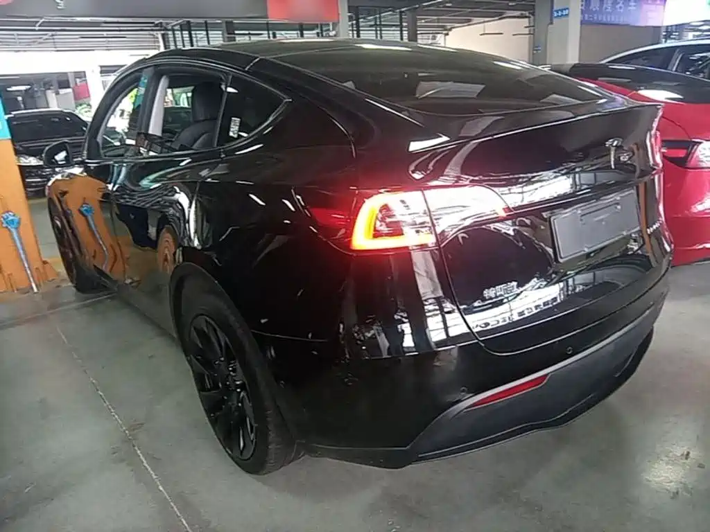 Tesla Model Y — миниатюра 5