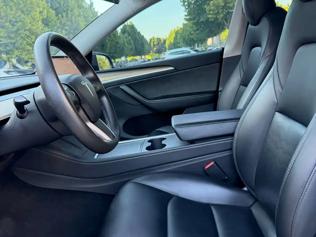 Tesla Model Y — миниатюра 8