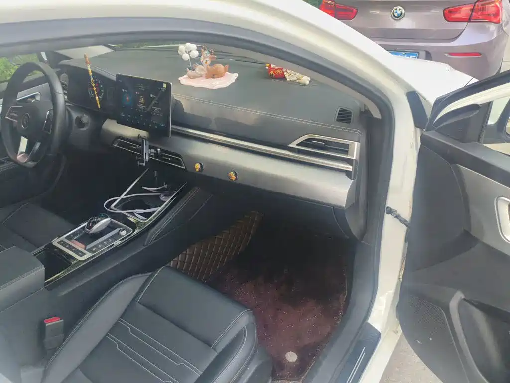 BYD Qin NEV — миниатюра 19
