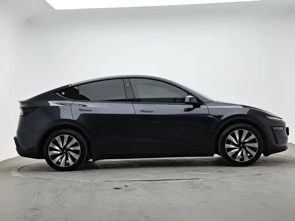 Tesla Model Y — миниатюра 5
