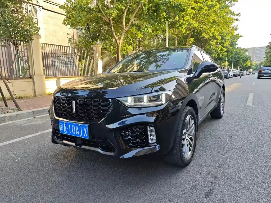 Купить Wey Wey VV5