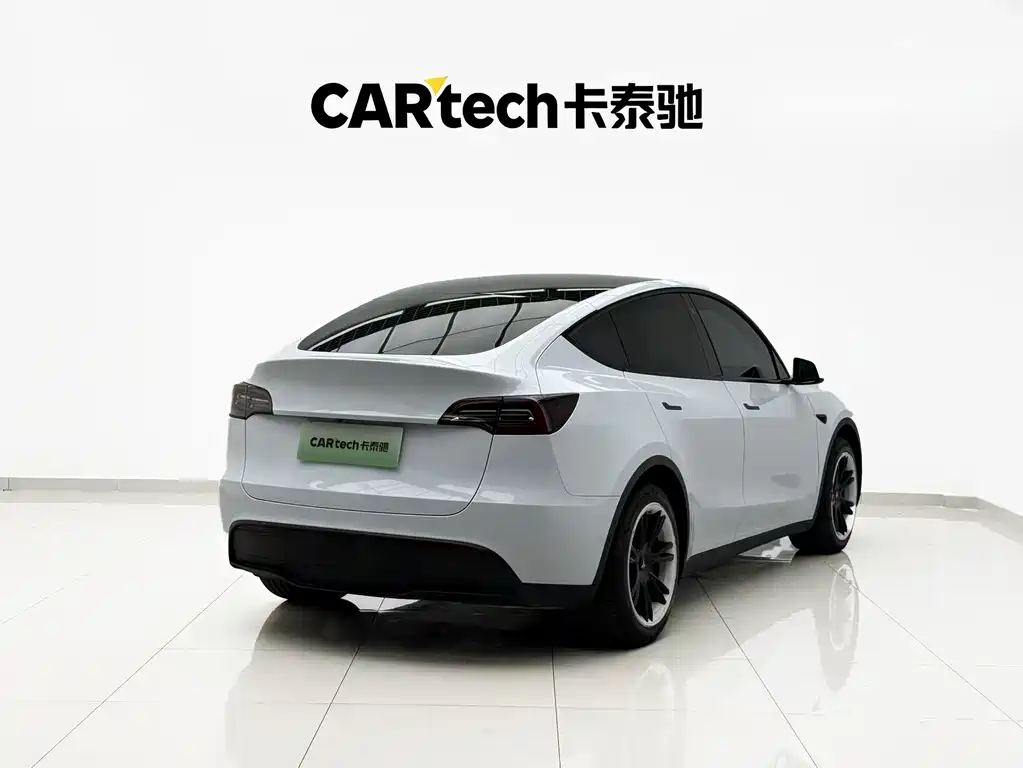 Tesla Model Y — миниатюра 19