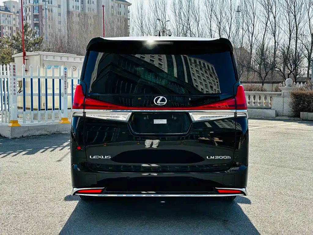 LEXUS LM
