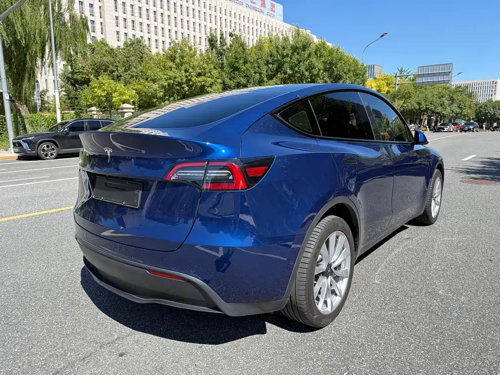 Tesla Model Y — миниатюра 6