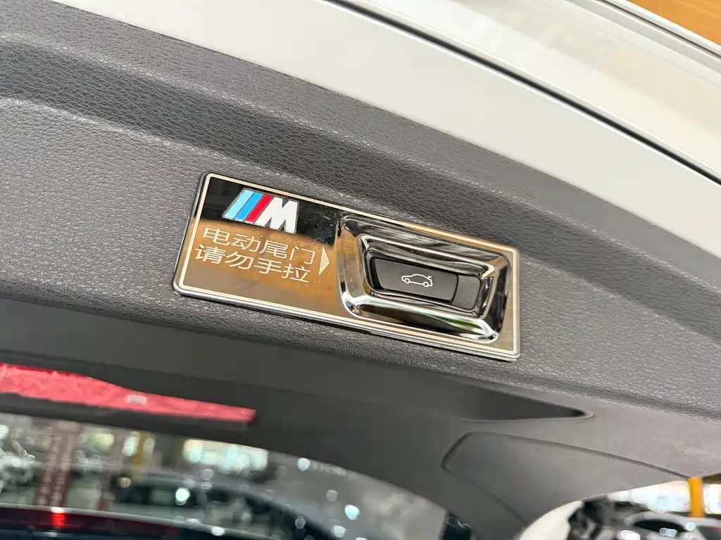 BMW X2 sDrive25i M Sport Night Edition, фото 9