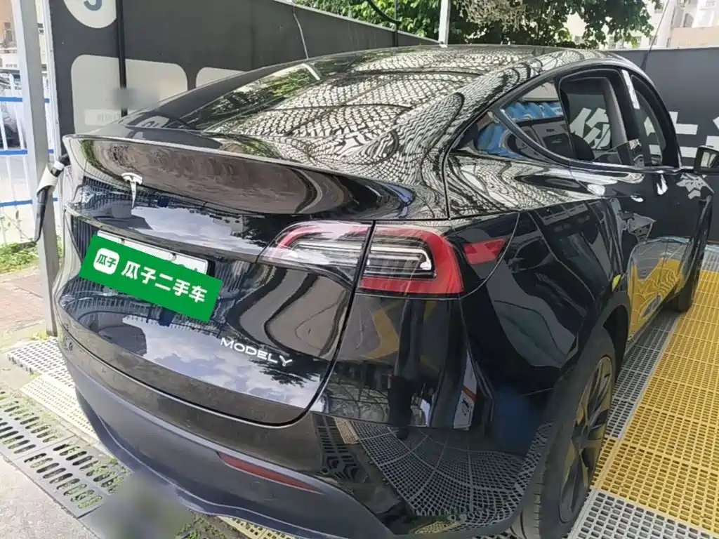 Tesla Model Y — миниатюра 7