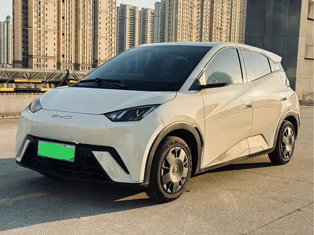 2023 BYD Seagull