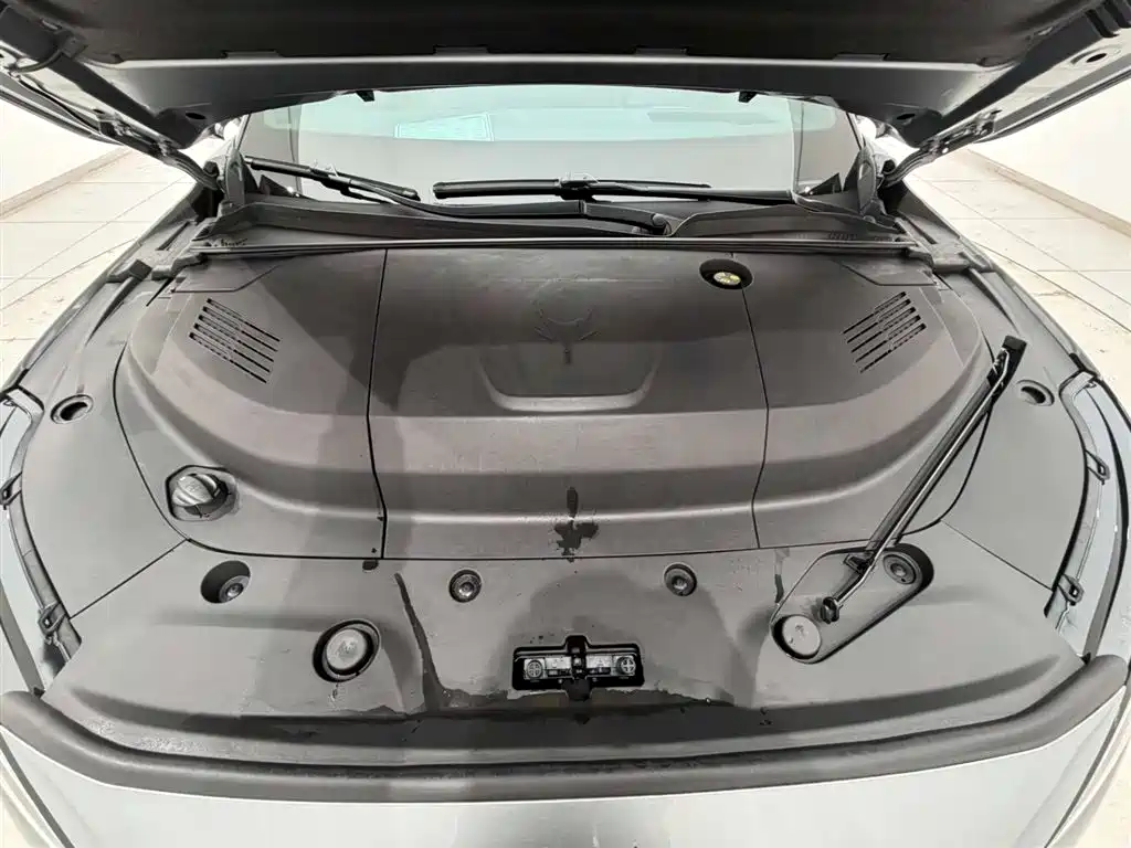 ARCFOX EXTREME FOX POLAR FOX ALPHA S5