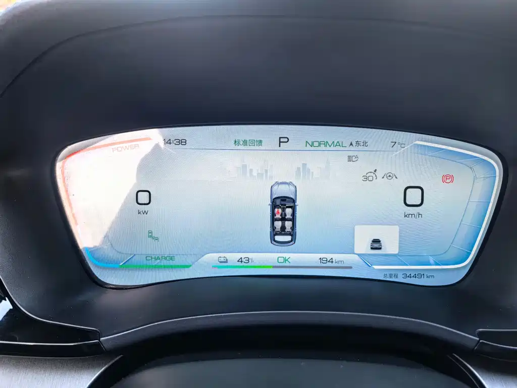 BYD SONGJIANG NEW ENERGY