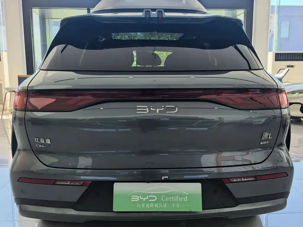 BYD Tang L — миниатюра 8