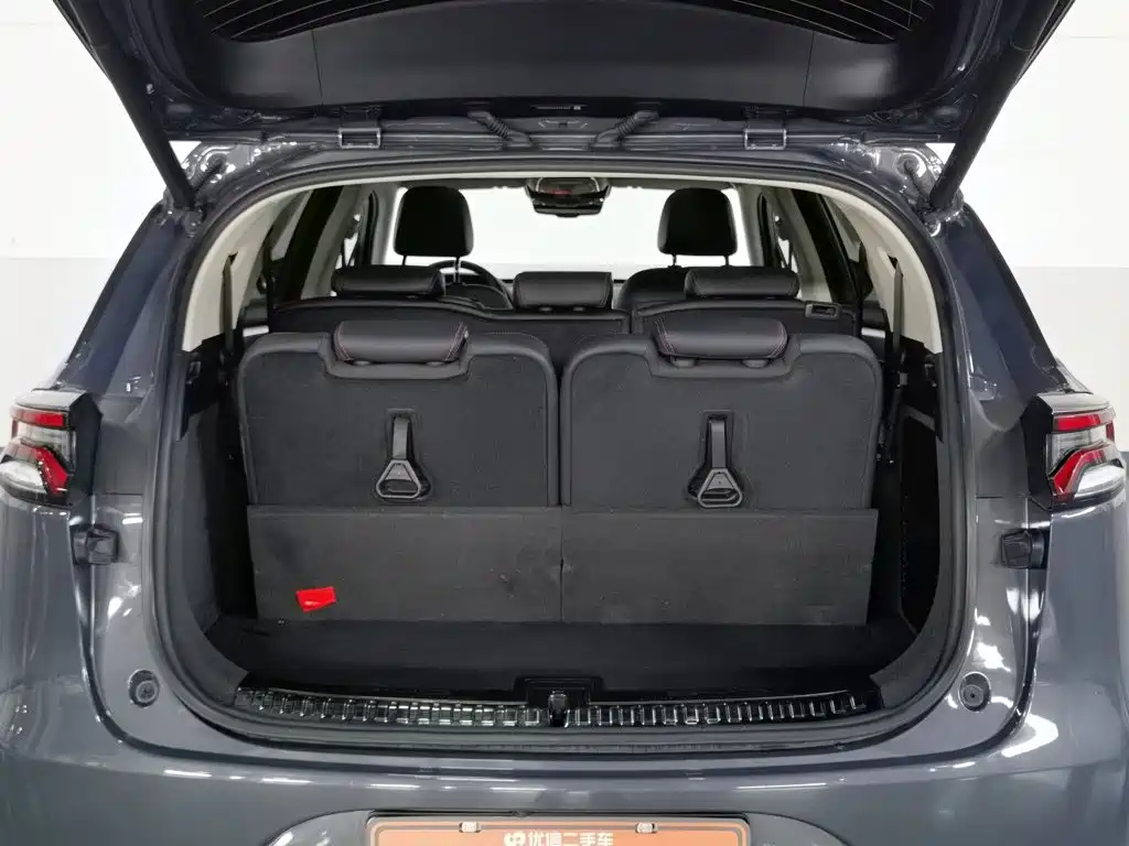 BYD Tang New Energy — миниатюра 16