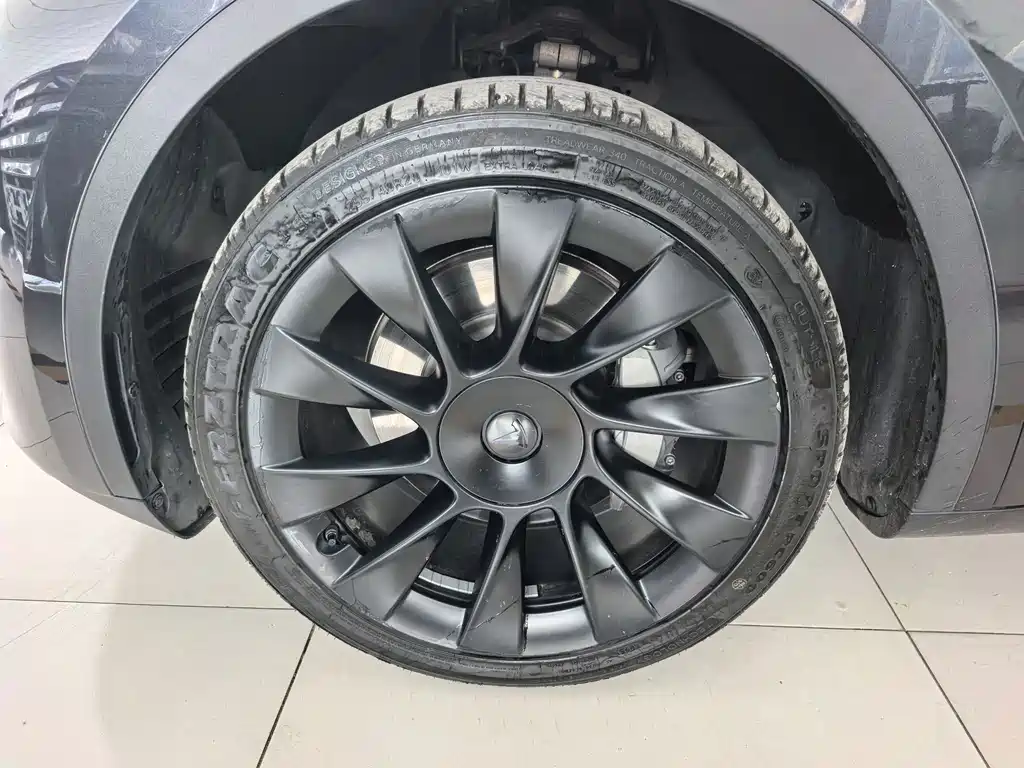Tesla Model Y — миниатюра 4