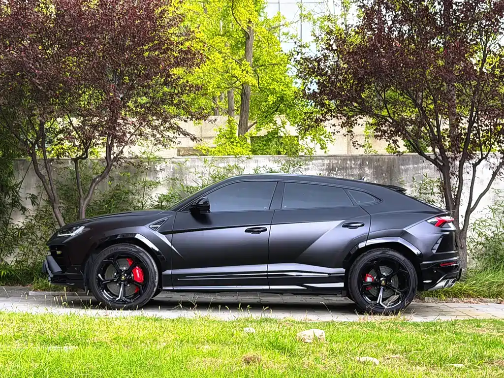 Lamborghini Urus — миниатюра 11