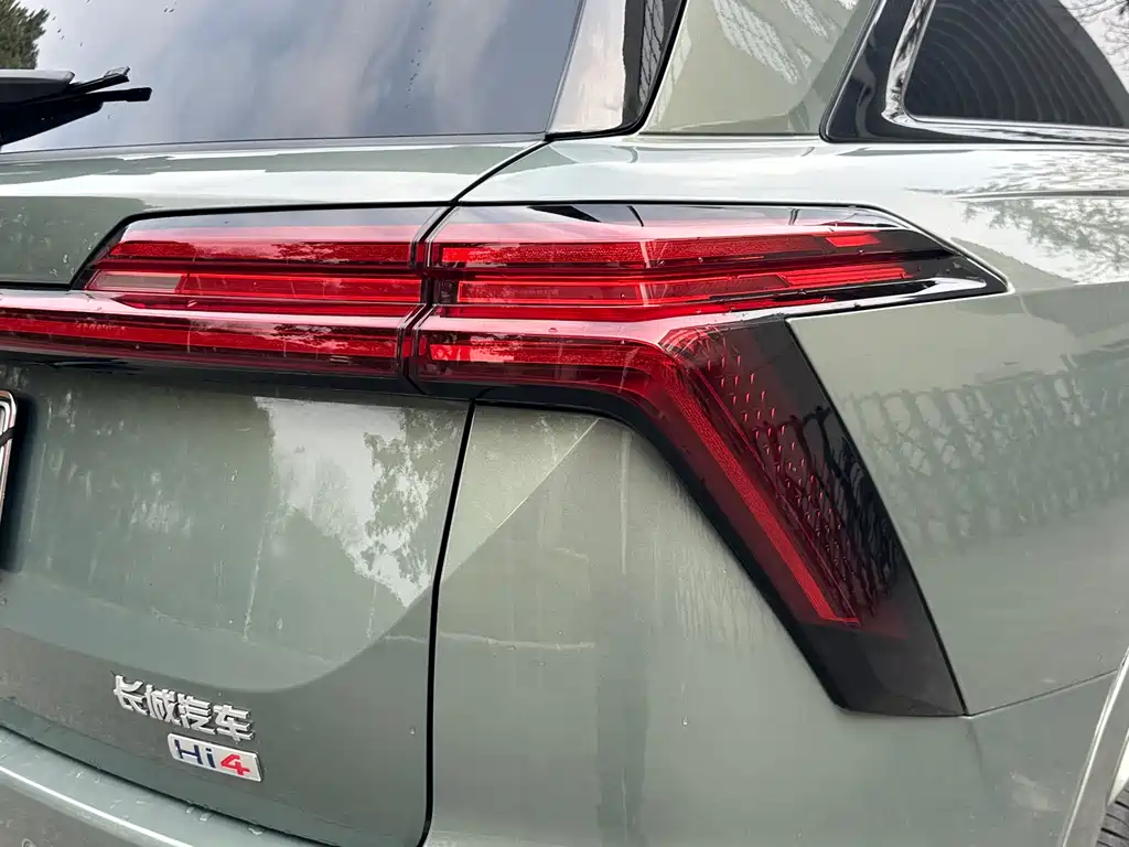 WEI PAI WEI BRAND BLUE MOUNTAIN