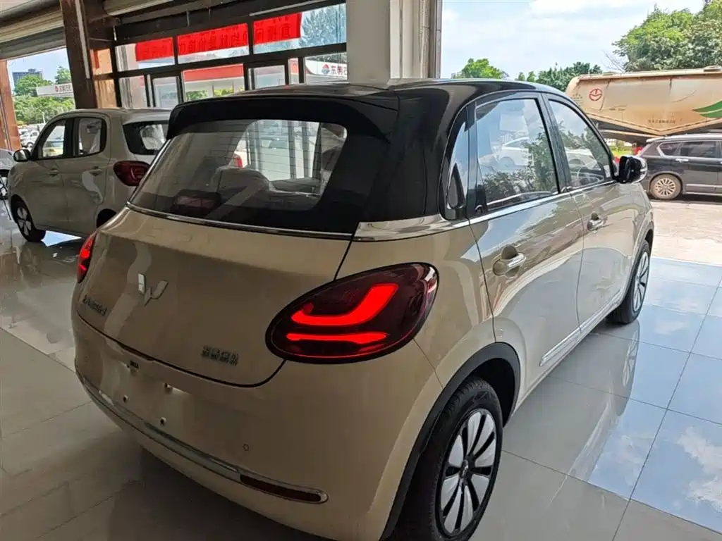 Wuling Binguo 2025 333km Enjoy