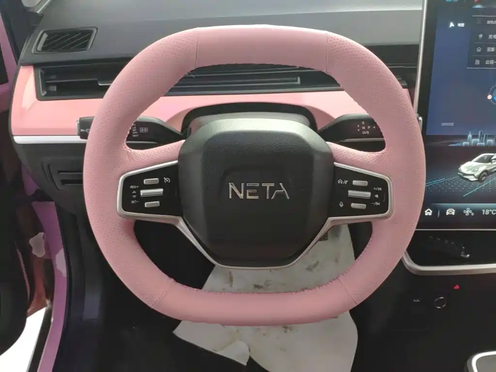 Neta Neta V — миниатюра 11