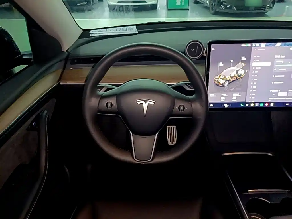 Tesla Model Y — миниатюра 11