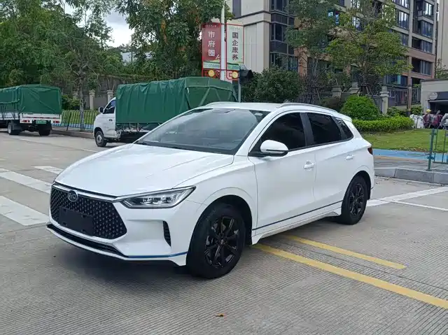 2021 BYD e2