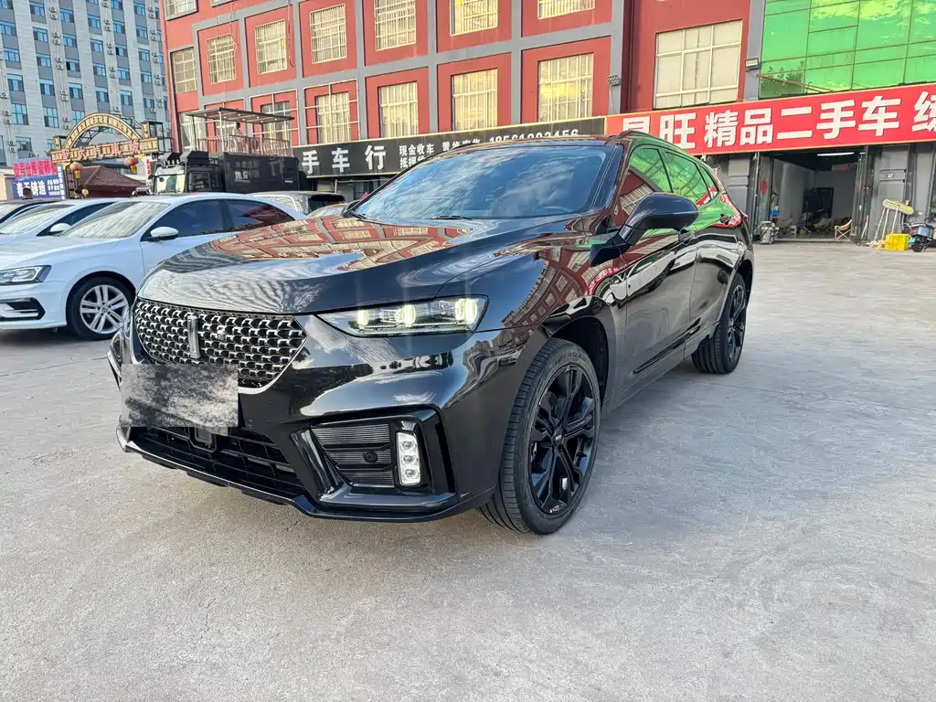 Купить Wey Wey VV7