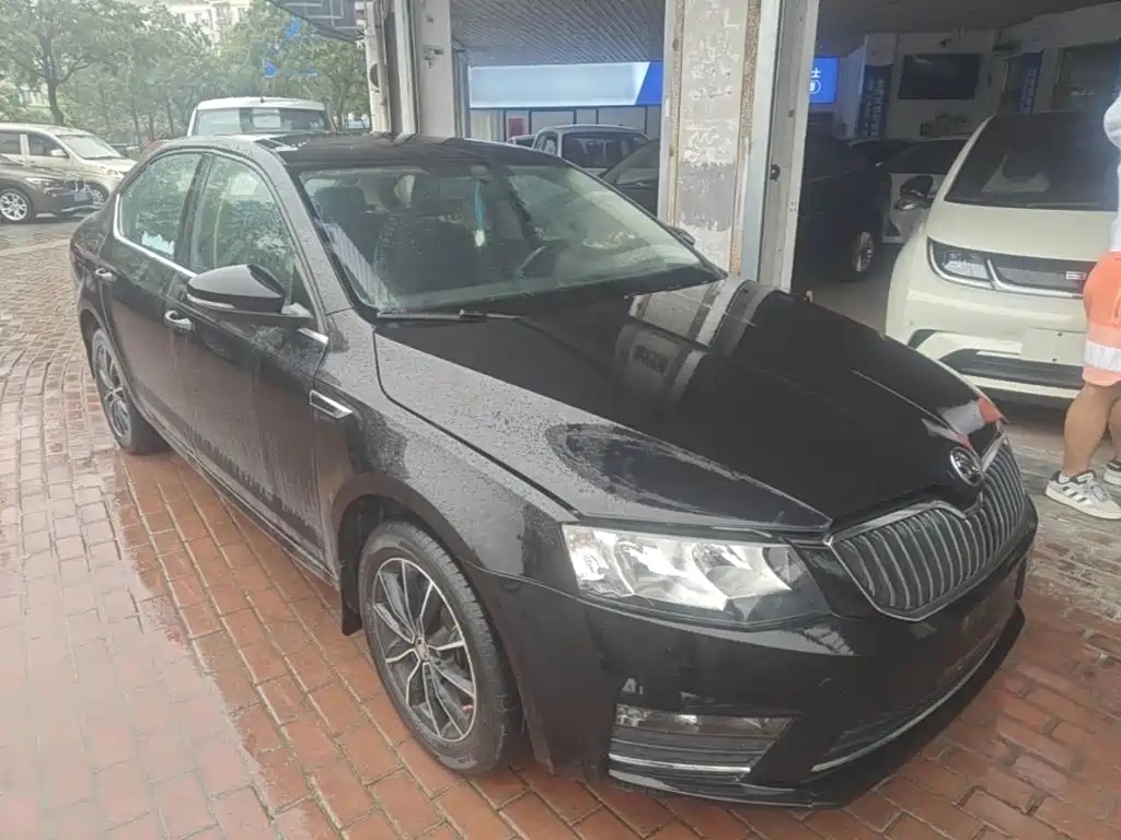 Skoda Octavia — миниатюра 4