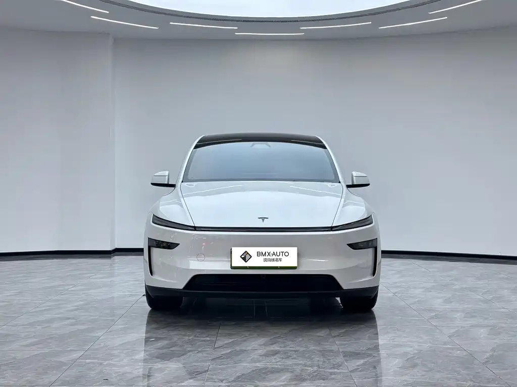 Tesla Model Y L — миниатюра 4