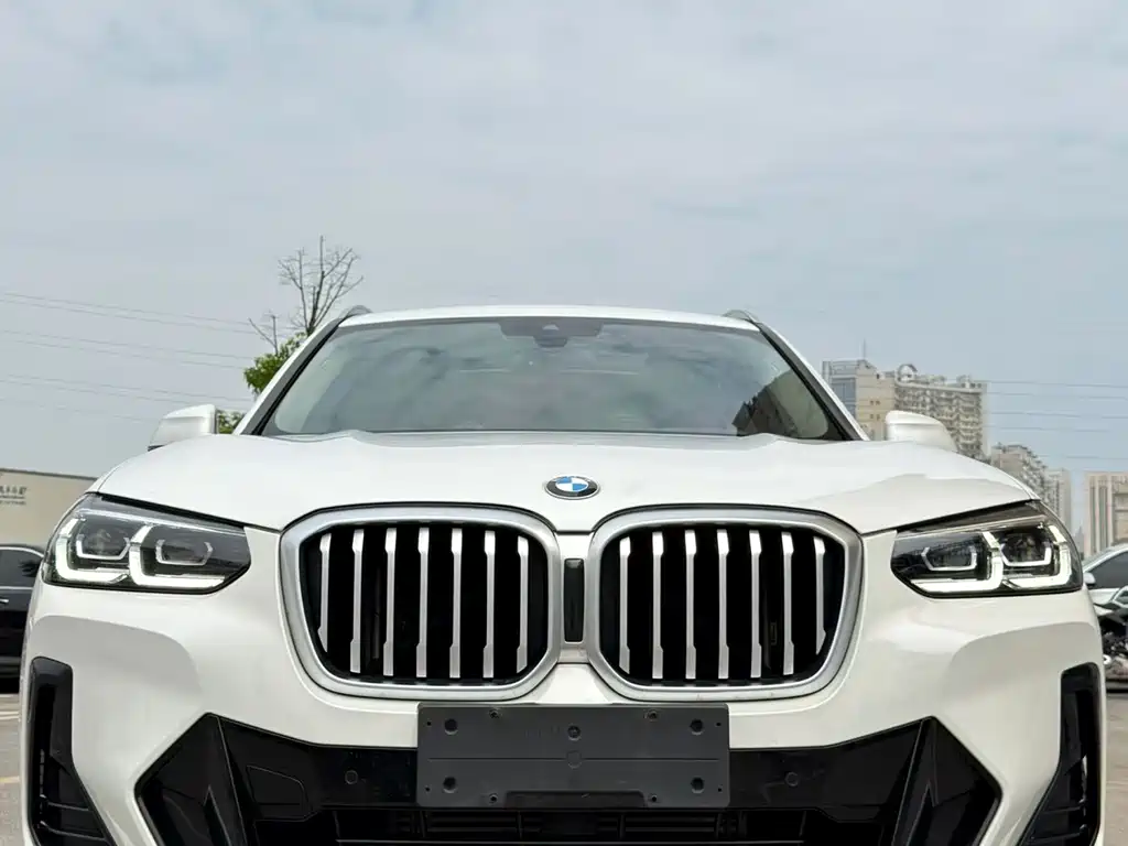BMW X3 — миниатюра 2